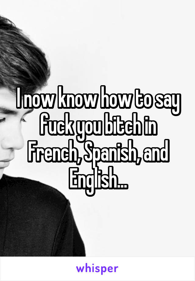 I now know how to say fuck you bitch in French, Spanish, and English...