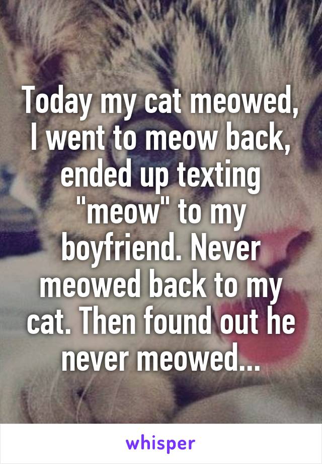 Today my cat meowed, I went to meow back, ended up texting "meow" to my boyfriend. Never meowed back to my cat. Then found out he never meowed...