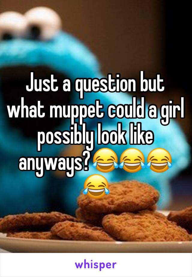 Just a question but what muppet could a girl possibly look like anyways?😂😂😂😂