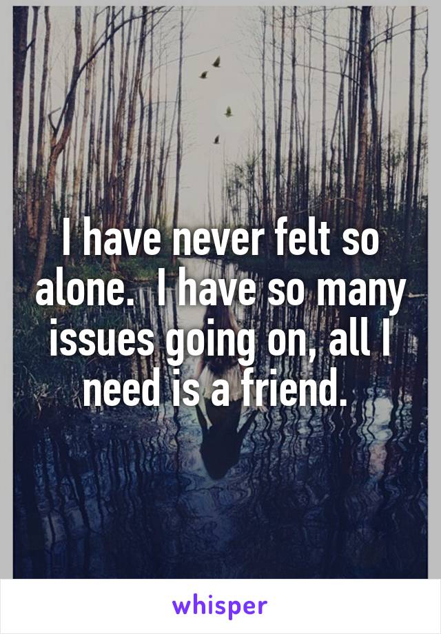 I have never felt so alone.  I have so many issues going on, all I need is a friend. 