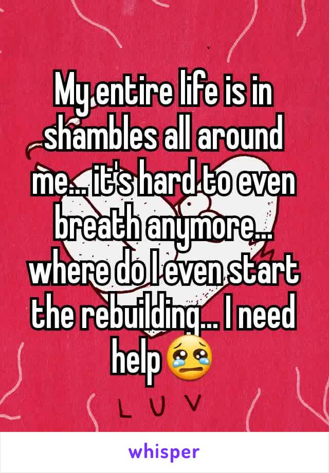 My entire life is in shambles all around me... it's hard to even breath anymore... where do I even start the rebuilding... I need help😢