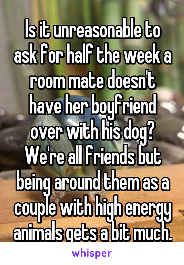 Is it unreasonable to ask for half the week a room mate doesn't have her boyfriend over with his dog? We're all friends but being around them as a couple with high energy animals gets a bit much.