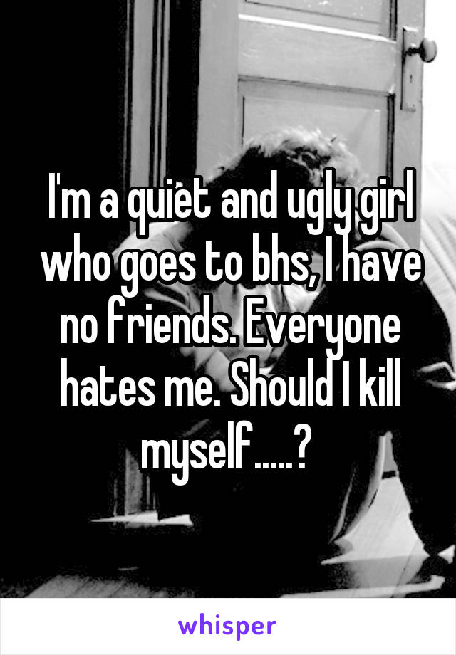 I'm a quiet and ugly girl who goes to bhs, I have no friends. Everyone hates me. Should I kill myself.....? 