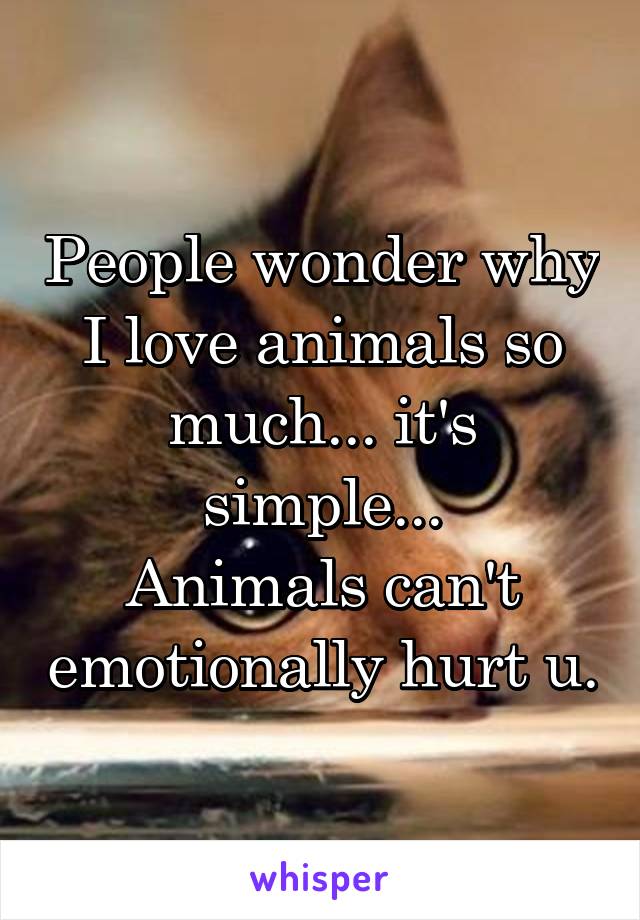 People wonder why I love animals so much... it's simple...
Animals can't emotionally hurt u.