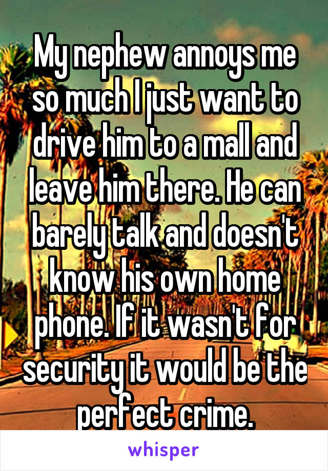 My nephew annoys me so much I just want to drive him to a mall and leave him there. He can barely talk and doesn't know his own home phone. If it wasn't for security it would be the perfect crime.