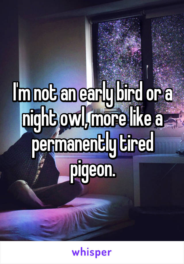 I'm not an early bird or a night owl, more like a permanently tired pigeon.