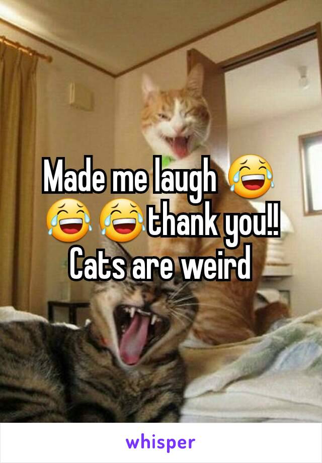 Made me laugh 😂😂😂thank you!! Cats are weird