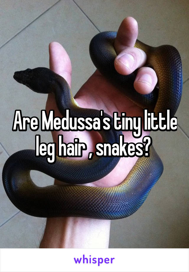 Are Medussa's tiny little leg hair , snakes? 