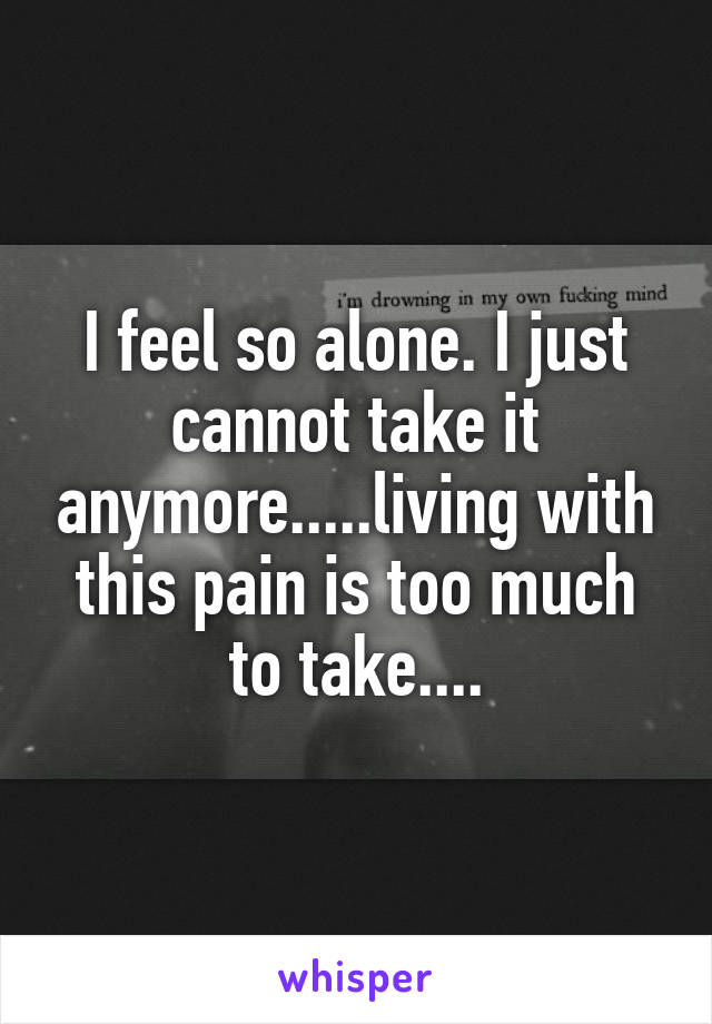 I feel so alone. I just cannot take it anymore.....living with this pain is too much to take....