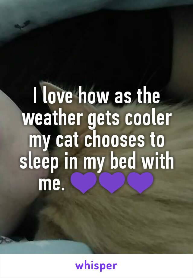 I love how as the weather gets cooler my cat chooses to sleep in my bed with me. 💜💜💜