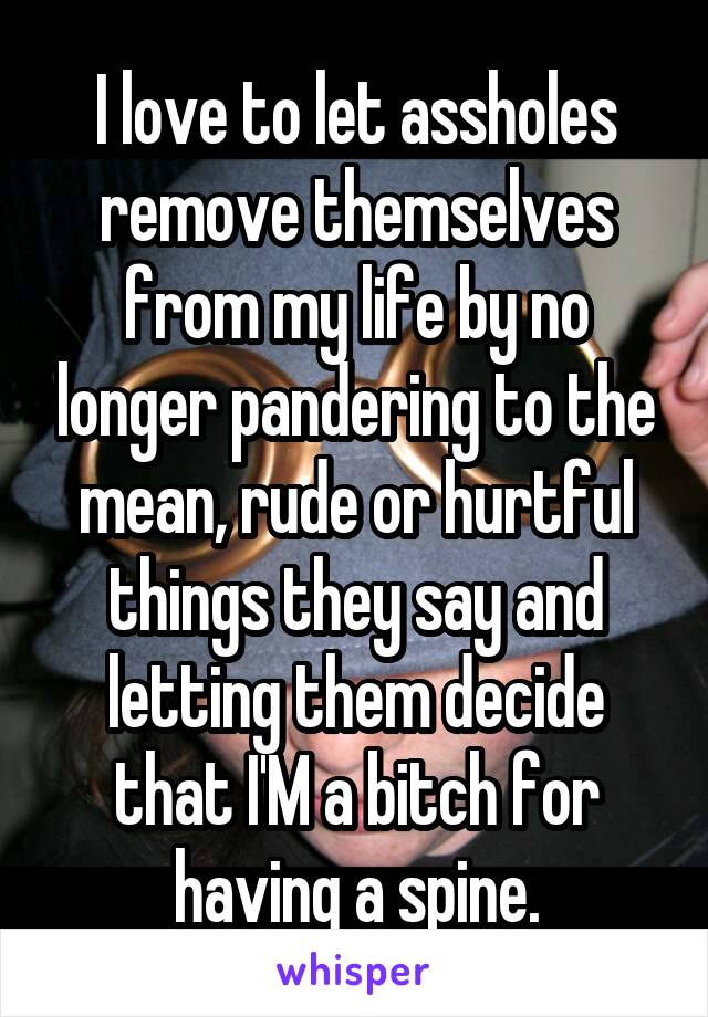 I love to let assholes remove themselves from my life by no longer pandering to the mean, rude or hurtful things they say and letting them decide that I'M a bitch for having a spine.