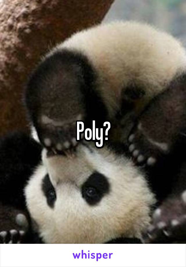 Poly?