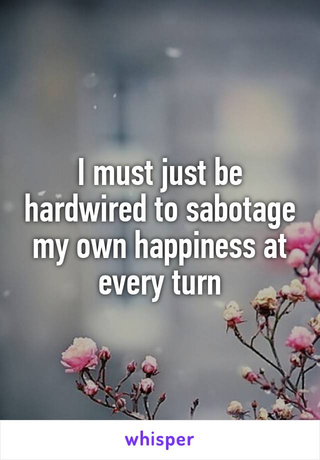 I must just be hardwired to sabotage my own happiness at every turn