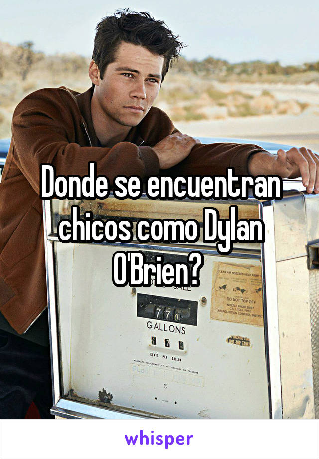 Donde se encuentran chicos como Dylan O'Brien? 