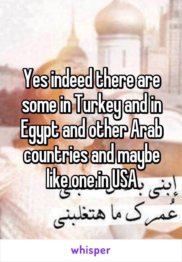 Yes indeed there are some in Turkey and in Egypt and other Arab countries and maybe like one in USA