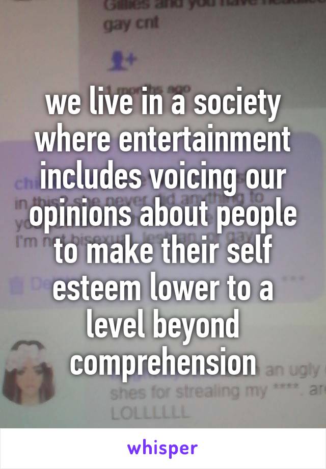 we live in a society where entertainment includes voicing our opinions about people to make their self esteem lower to a level beyond comprehension