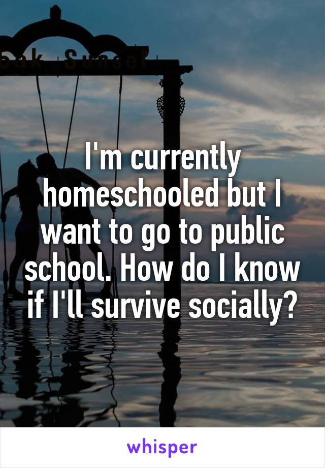 I'm currently homeschooled but I want to go to public school. How do I know if I'll survive socially?