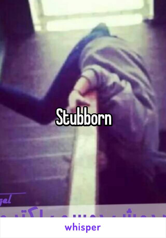 Stubborn