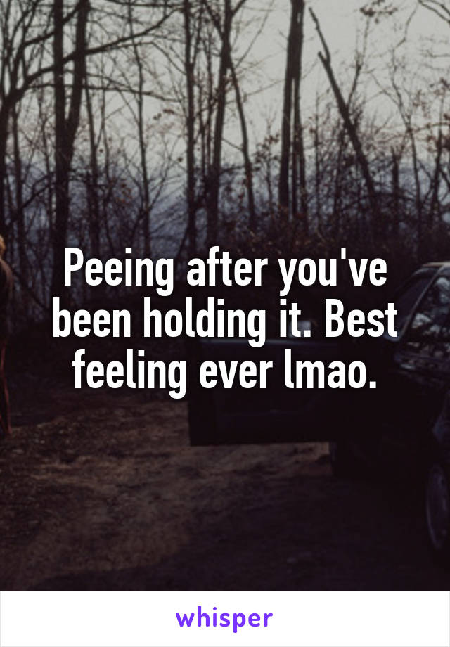 Peeing after you've been holding it. Best feeling ever lmao.