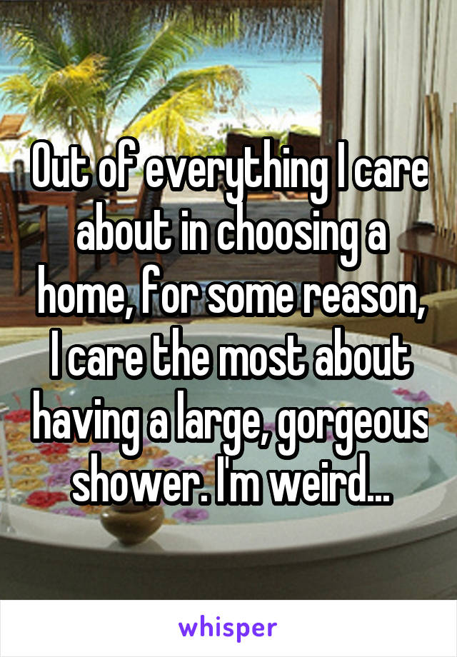 Out of everything I care about in choosing a home, for some reason, I care the most about having a large, gorgeous shower. I'm weird...