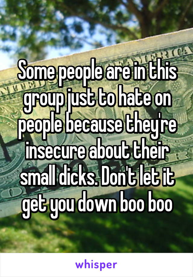 Some people are in this group just to hate on people because they're insecure about their small dicks. Don't let it get you down boo boo