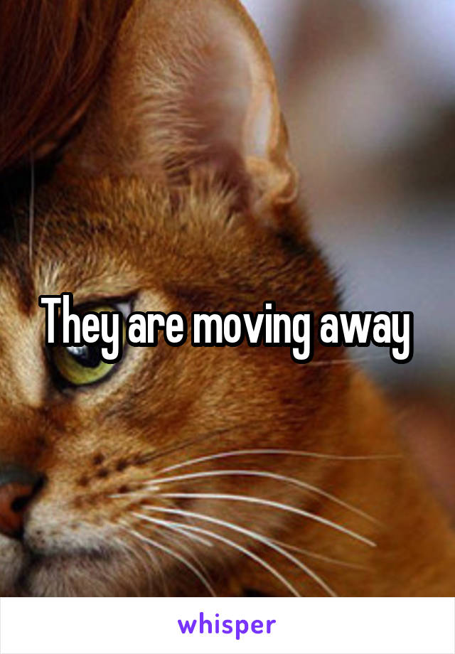 They are moving away 