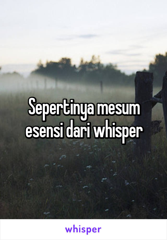 Sepertinya mesum esensi dari whisper