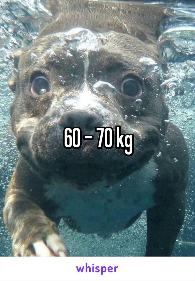 60 - 70 kg