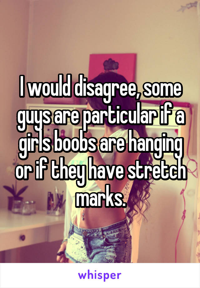 I would disagree, some guys are particular if a girls boobs are hanging or if they have stretch marks.