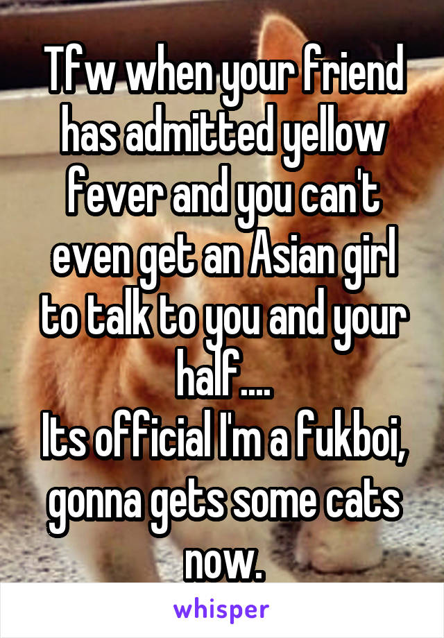 Tfw when your friend has admitted yellow fever and you can't even get an Asian girl to talk to you and your half....
Its official I'm a fukboi, gonna gets some cats now.