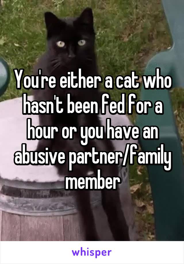 You're either a cat who hasn't been fed for a hour or you have an abusive partner/family member