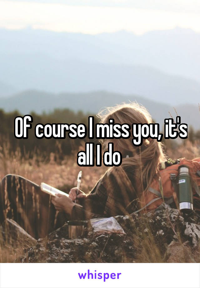 Of course I miss you, it's all I do 