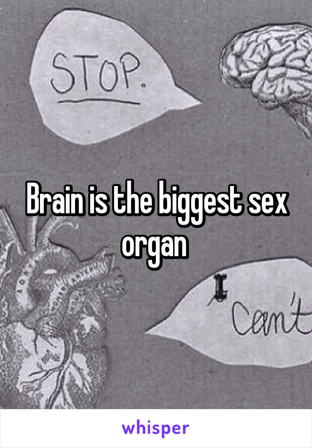 Brain is the biggest sex organ 