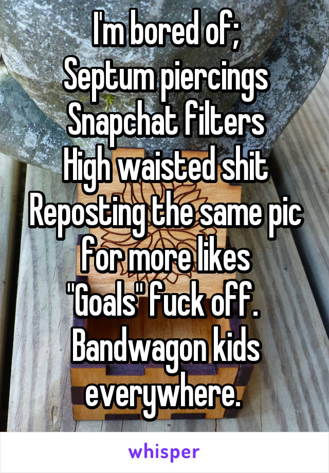 I'm bored of;
Septum piercings
Snapchat filters
High waisted shit
Reposting the same pic for more likes
"Goals" fuck off. 
Bandwagon kids everywhere. 
