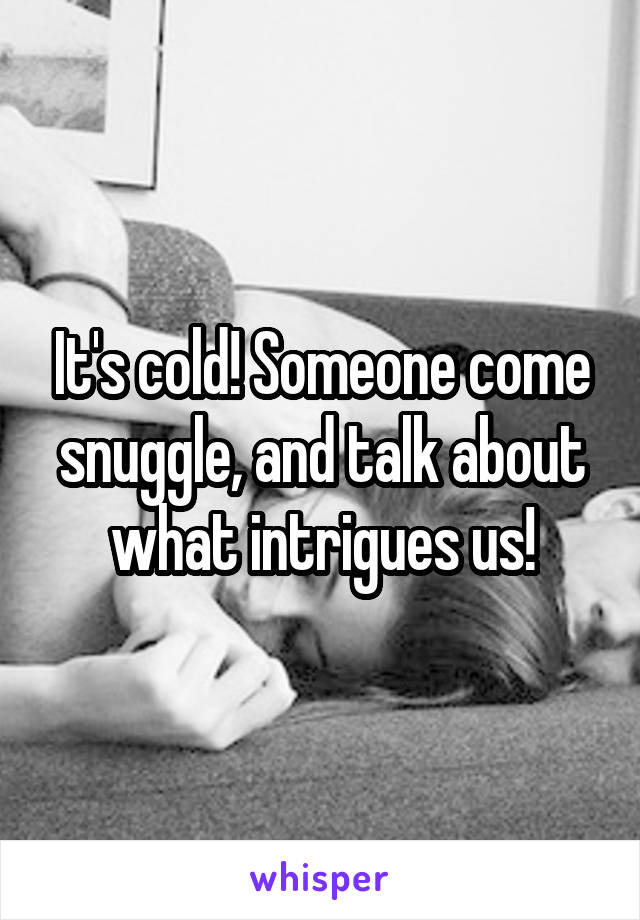 It's cold! Someone come snuggle, and talk about what intrigues us!