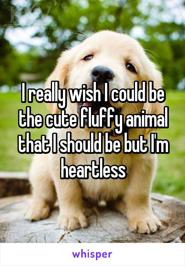 I really wish I could be the cute fluffy animal that I should be but I'm heartless