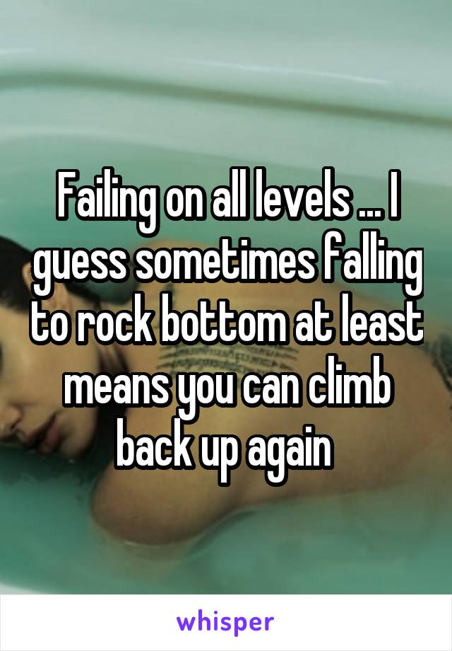 Failing on all levels ... I guess sometimes falling to rock bottom at least means you can climb back up again 