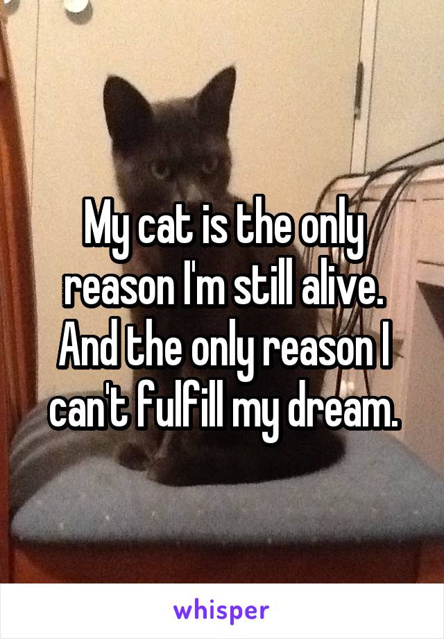 My cat is the only reason I'm still alive. And the only reason I can't fulfill my dream.