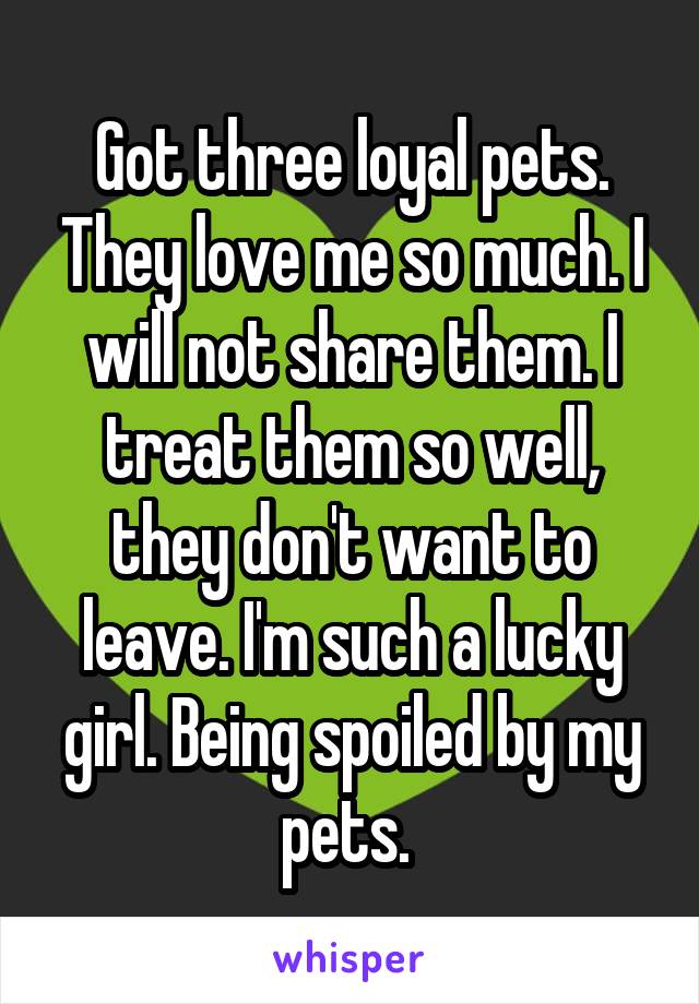 Got three loyal pets. They love me so much. I will not share them. I treat them so well, they don't want to leave. I'm such a lucky girl. Being spoiled by my pets. 