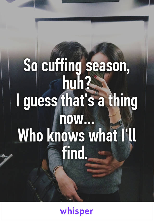 So cuffing season, huh?
I guess that's a thing now...
Who knows what I'll find. 