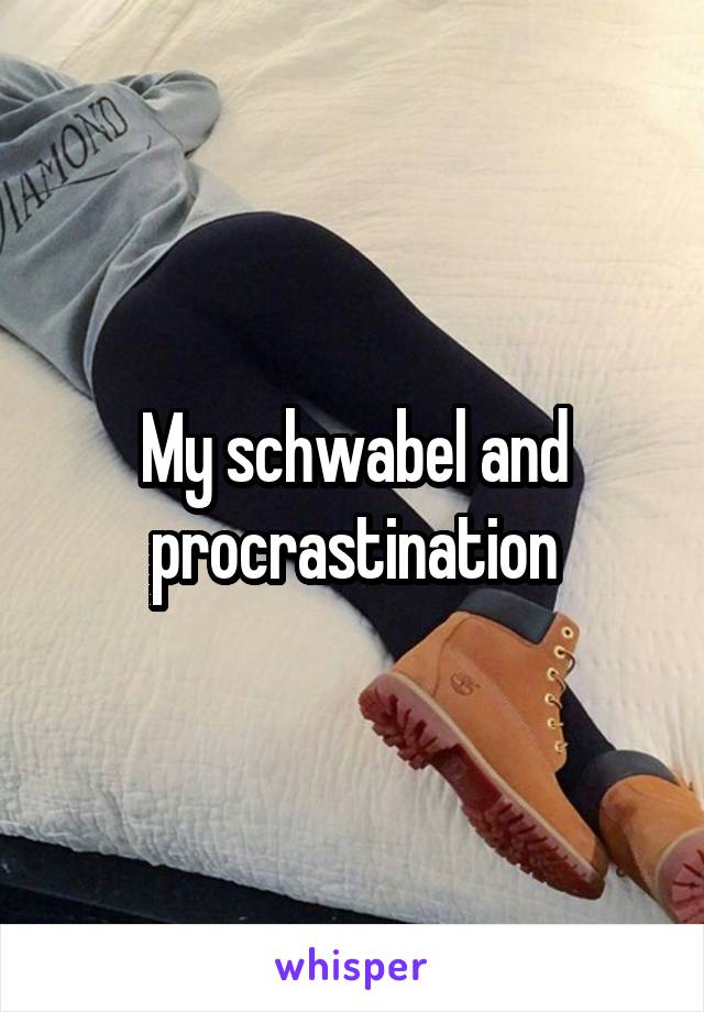 My schwabel and procrastination