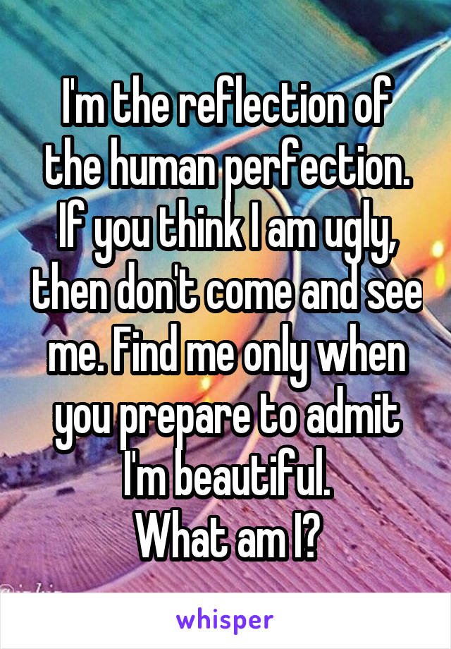 I'm the reflection of the human perfection. If you think I am ugly, then don't come and see me. Find me only when you prepare to admit I'm beautiful.
What am I?