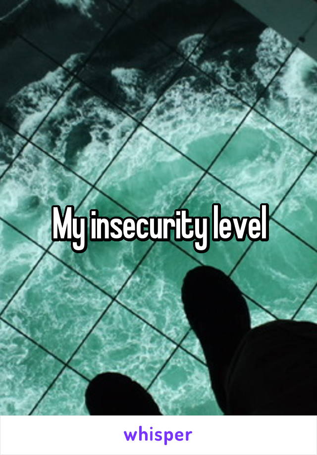 My insecurity level