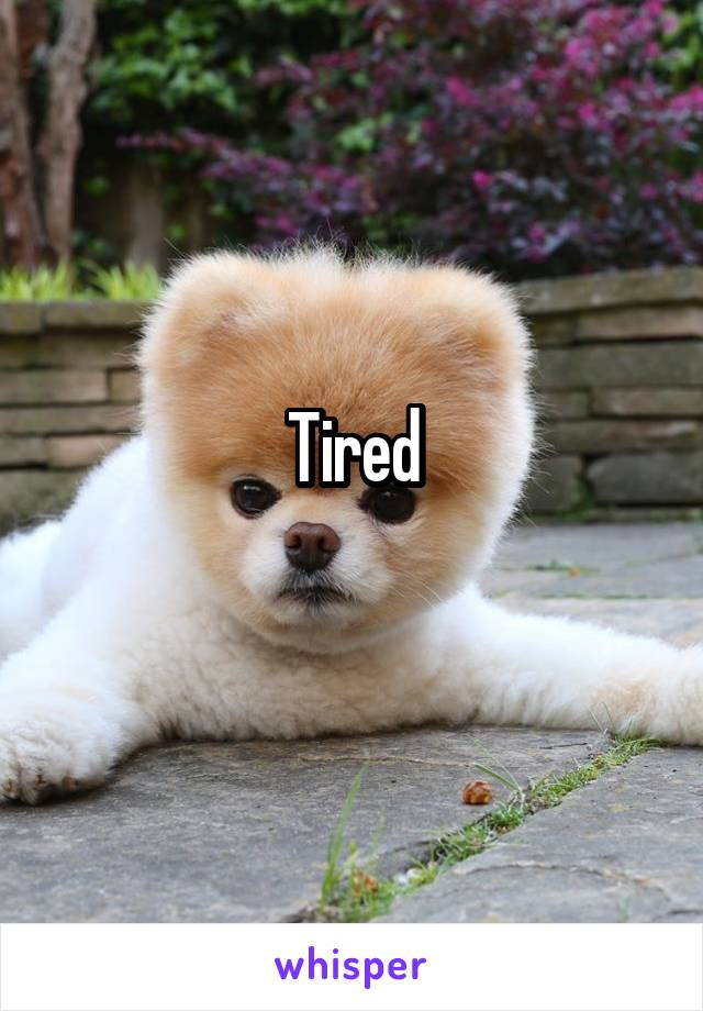 Tired
