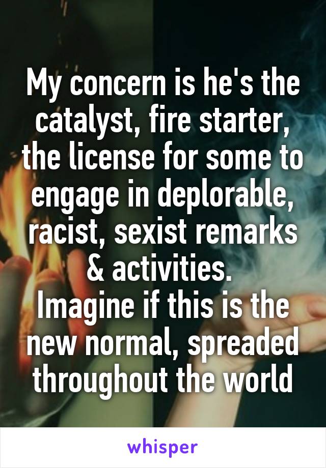 My concern is he's the catalyst, fire starter, the license for some to engage in deplorable, racist, sexist remarks & activities. 
Imagine if this is the new normal, spreaded throughout the world