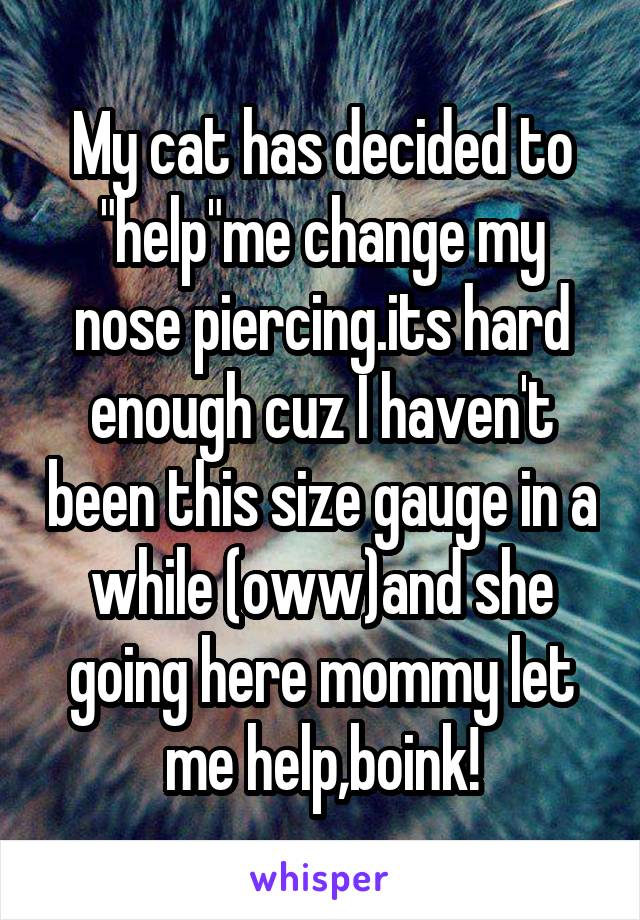 My cat has decided to "help"me change my nose piercing.its hard enough cuz I haven't been this size gauge in a while (oww)and she going here mommy let me help,boink!