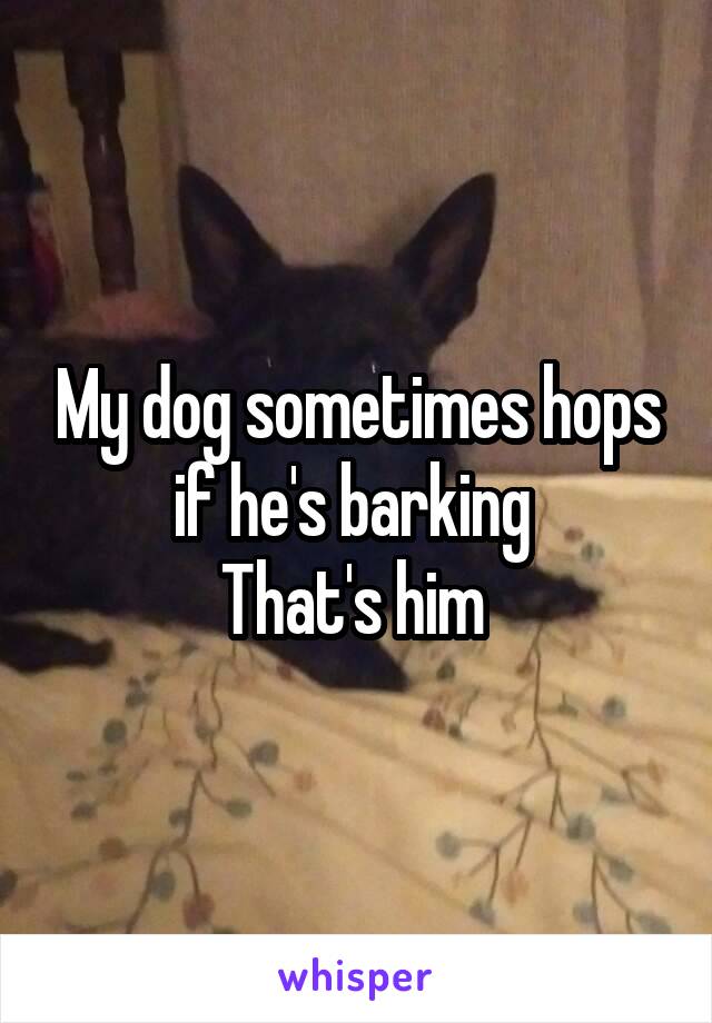 My dog sometimes hops if he's barking 
That's him 