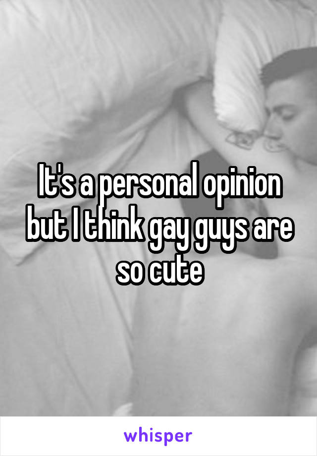 It's a personal opinion but I think gay guys are so cute