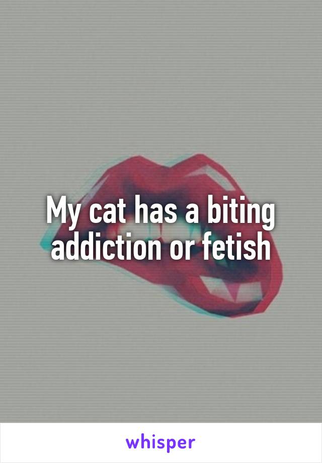 My cat has a biting addiction or fetish