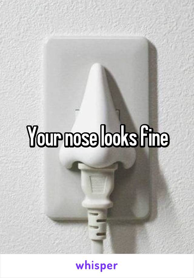 Your nose looks fine